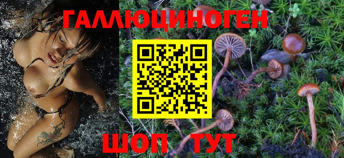 Псилоцибиновые грибы мицелий Канск